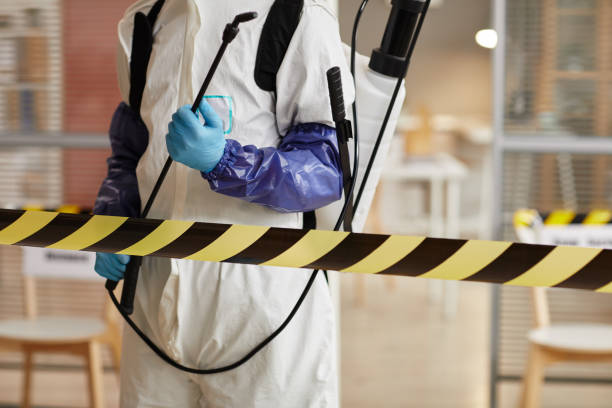 Professional Blood Cleanup technician working in Port Gamble, WA